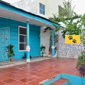 The Three Dog's House Torices Cartagena